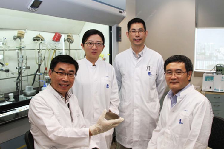 Dragonfly-inspired nano coating kills bacteria upon contact