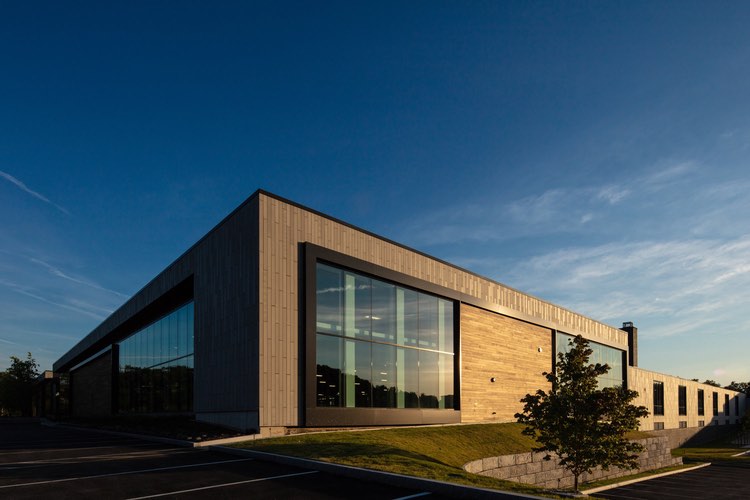 ElevateBio starts building cell and gene therapy company portfolio
