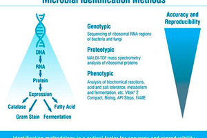 EN 17141: Understanding the risks of microbiological contamination in pharmaceutical cleanrooms