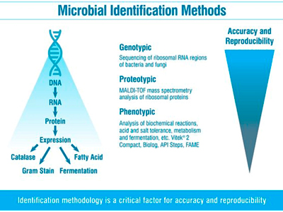 EN 17141: Understanding the risks of microbiological contamination in pharmaceutical cleanrooms