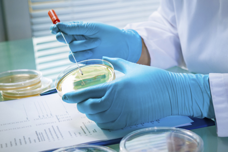 EN ISO 11133:2014 Compliance – from manufacturer to laboratory
