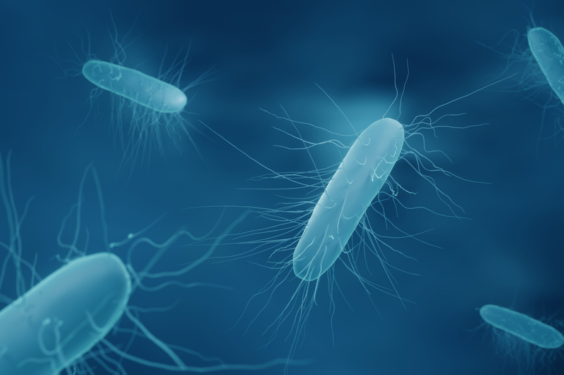 EPA accepts new Arxada sporicidal disinfectant