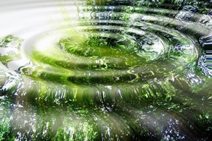 Evonik introduces new disinfectant active Hyprox AS 