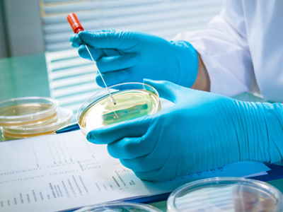 FDA pathogen warning follows rise in drug product recalls 