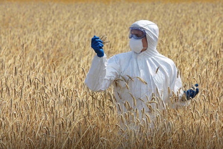 Food contamination fears if Brexit deal not agreed