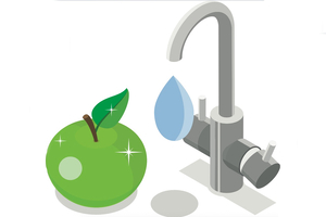 Food production: The four types of contamination