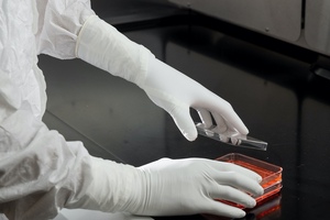 Going the distance: Why do we need accelerator-free cleanroom glove protection?