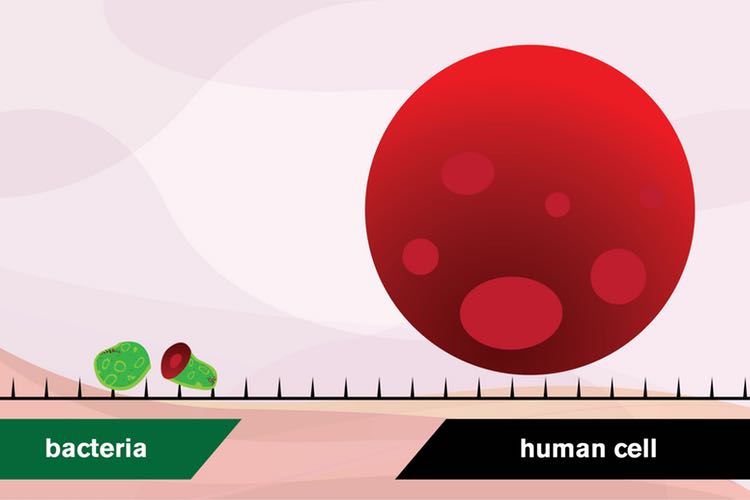 Graphene spikes to kill bacteria on implants