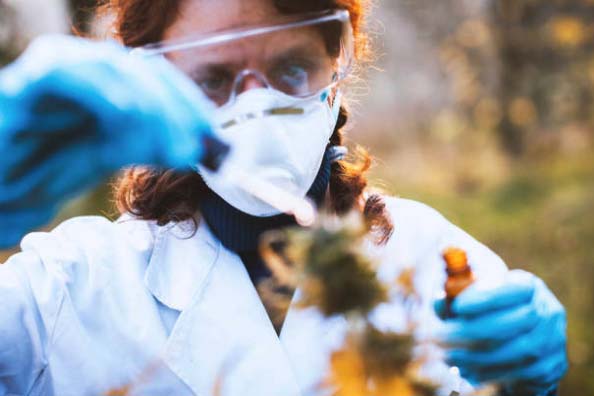 Green Leaf Farms gets approval for expanded cultivation site