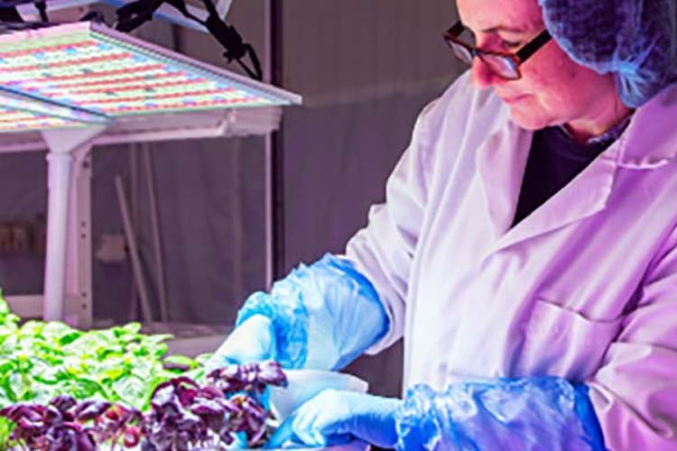 H20-ganics develops fresh produce facility with cleanroom technology