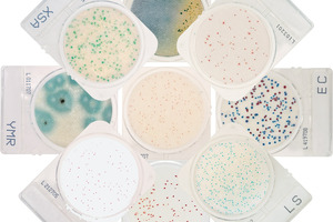 Hardy Diagnostics launches new ready-to-use dehydrated culture plate