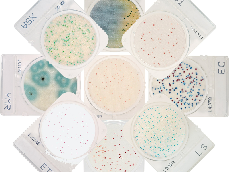 Hardy Diagnostics launches new ready-to-use dehydrated culture plate