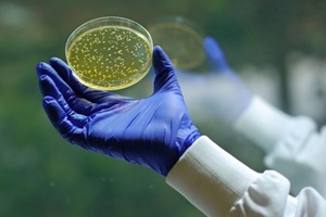 Healthcare estates could do more to build in protection from resistant microbes
