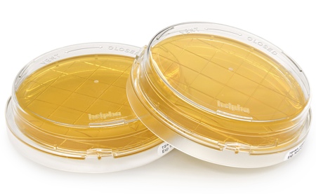 Heipha ICRplus Neutraliser A contact plates offer improved detection of micro-organisms