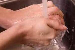 Hospitals get guidance on <i>Pseudomonas</i>