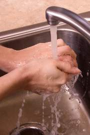 Hospitals get guidance on <i>Pseudomonas</i>