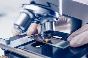 How far does the food industry need to go with microbiological testing?
