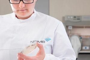 How to approach the Identification of yeasts and moulds
