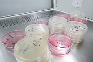 How to set up and monitor a contamination control and sterilisation process