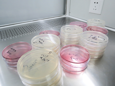 How to set up and monitor a contamination control and sterilisation process