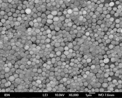 IBM and IBN in Singapore develop antimicrobial hydrogel to tackle superbugs