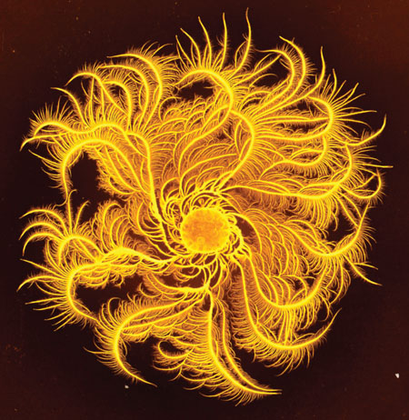 Identifying microbes in non-sterile facilities