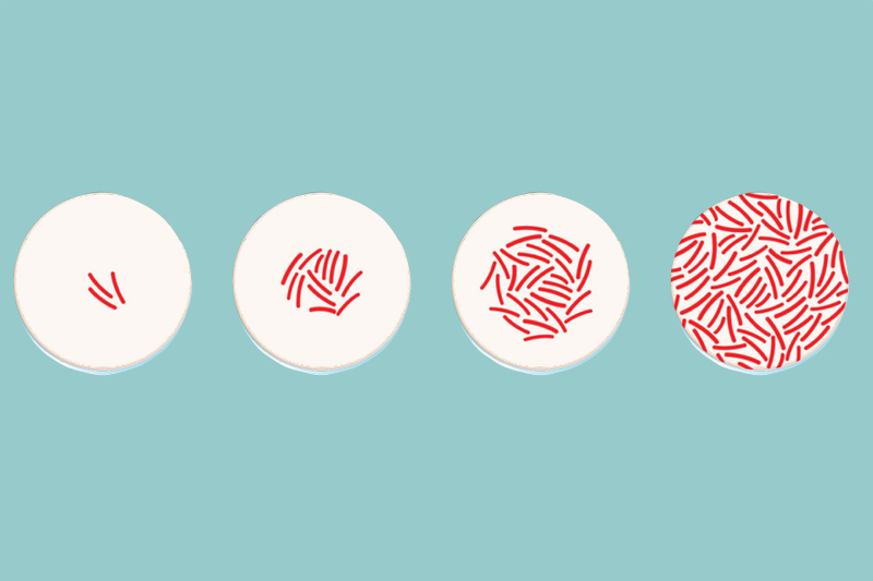 Incubating settle plates: Understanding growth patterns and when things are going wrong
