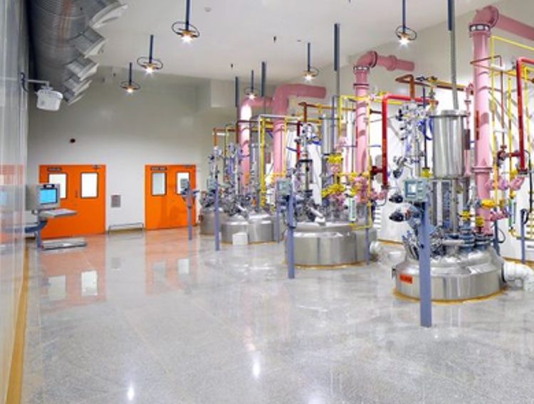 Indian CDMO completes ISO Class 8 cleanroom with "bubble design"