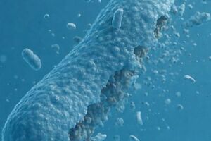 INDUS acquires Italian biodecontamination specialist Amira to expand sterile environment capabilities