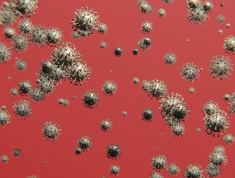 Kemin introduces two chlorine dioxide-based disinfectants