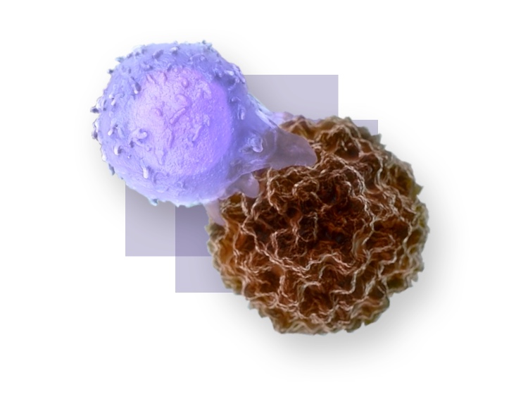 Kite to build new manufacturing plant for CAR-T therapies in the US