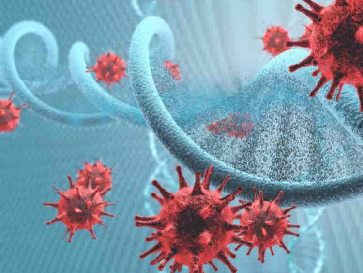 Kite to build plant for cell therapies portfolio in California
