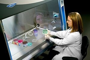 Labconco biosafety cabinet balances comfort and precision