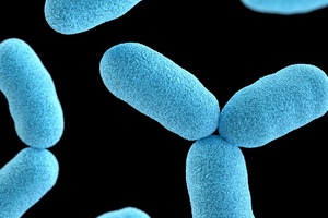 LexaGene expands microbial panel with problem biopharma pathogen