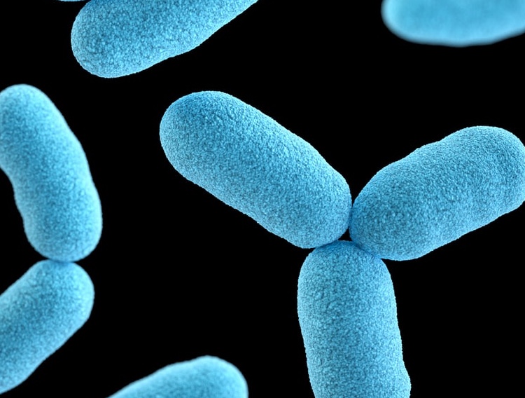 LexaGene expands microbial panel with problem biopharma pathogen