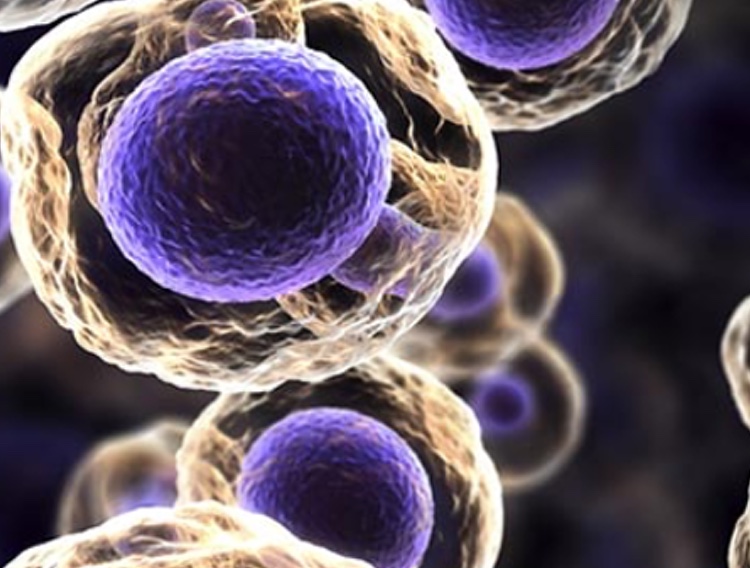 Life Science Group receives cleanroom grant in the UK