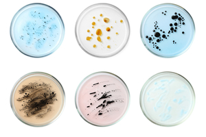 Lowering the chance of antimicrobial resistance with built in agents