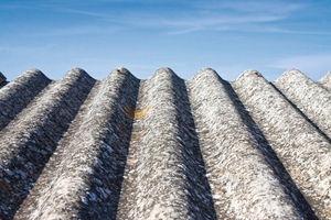 Managing asbestos eradication 