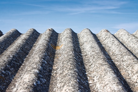 Managing asbestos eradication 