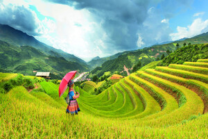 Market report | Southeast Asia is a new hub