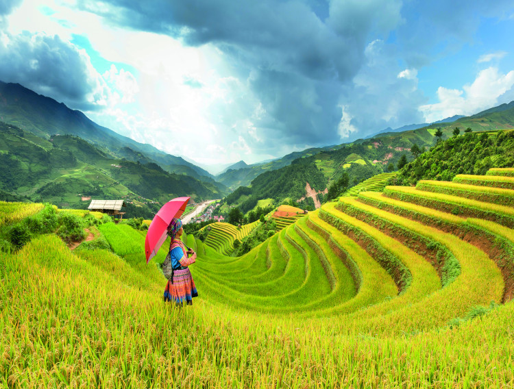 Market report | Southeast Asia is a new hub