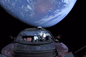 Microbial life into space