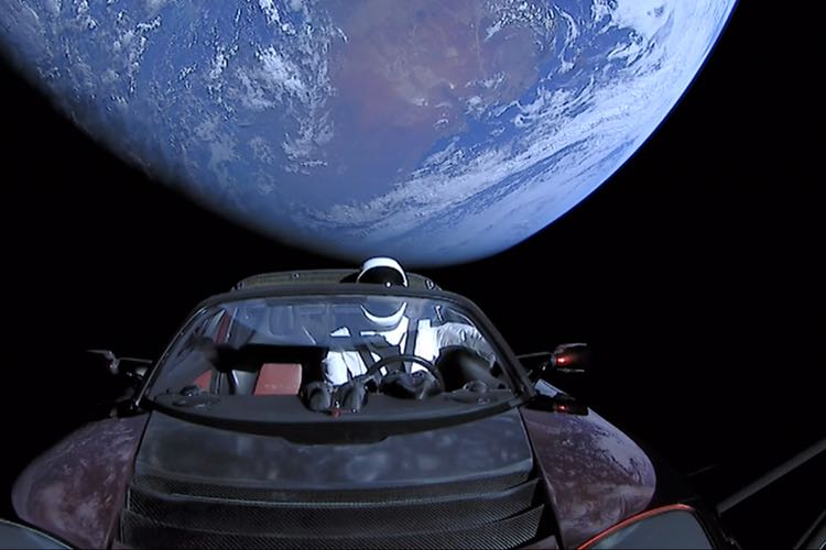 Microbial life into space