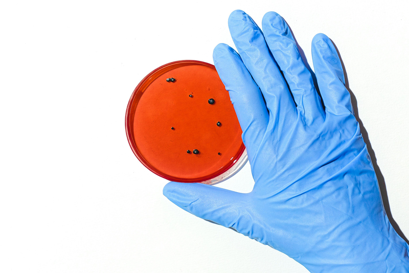 Microbiological monitoring: Adapting to new rapid methods regulatory demands