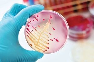 Microbiology: a review of changing practices and the future