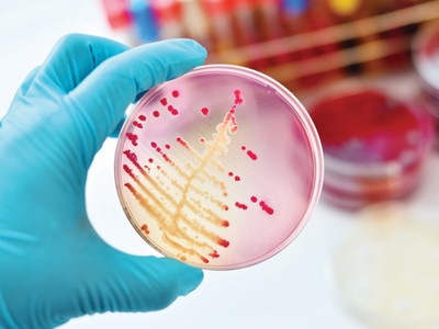 Microbiology: a review of changing practices and the future