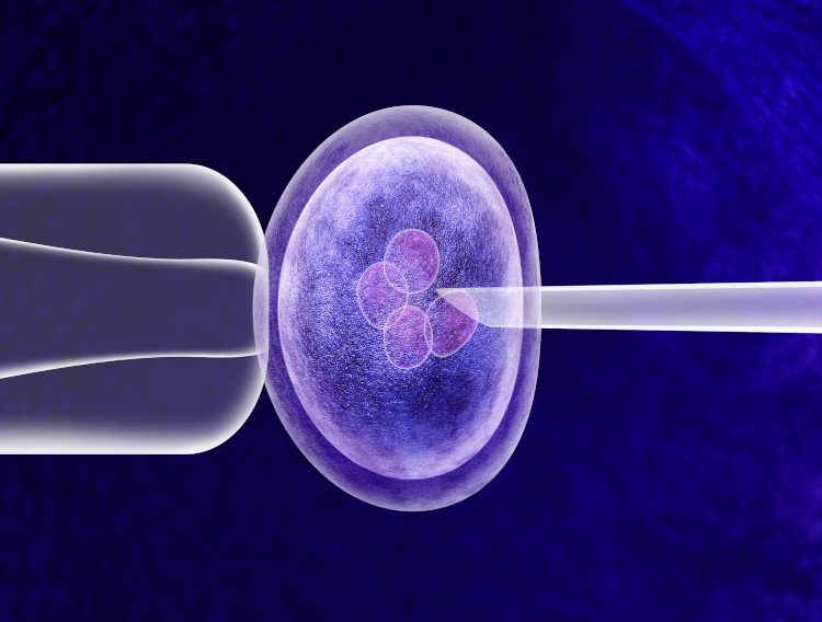Modular buildout strategies for a biopharma world