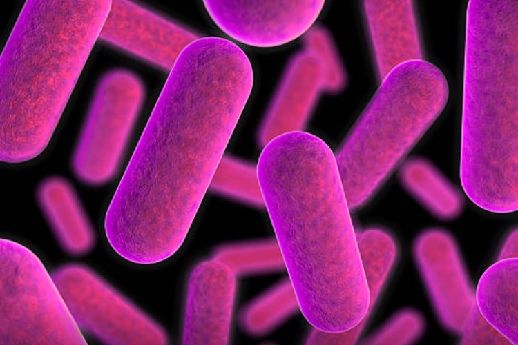 Multi-state outbreak of salmonella linked to Kelloggs
