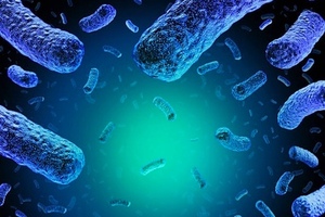 Neogen develops fastest Listeria test with no enrichment