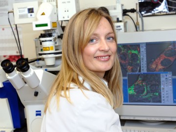 New centre for nano safety opened
